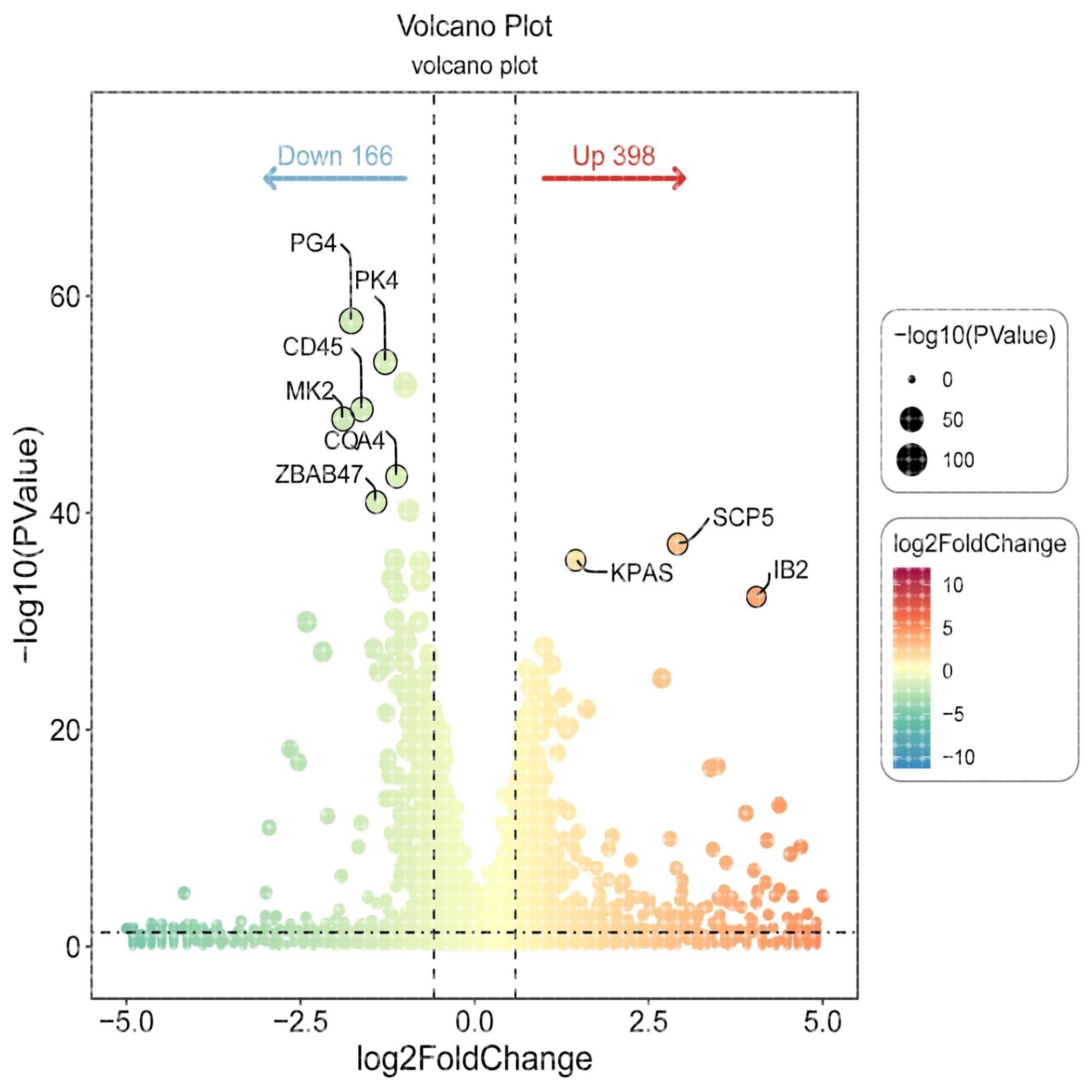 差异基因高级火山图、精美火山图制作 生信转录组R语言