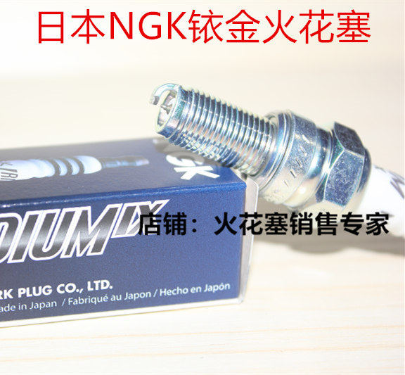 DL250GSX250RGW250NGK火花塞