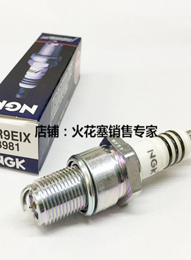 NGK铱金BR9EIX火花塞P2/P3/P4/NSR250/TZR250两冲动力滑翔伞黑魔