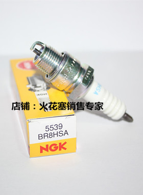 NGK火花塞BR8HSA适用Dio JOG两冲程踏板东发雅马哈船外机火嘴火咀