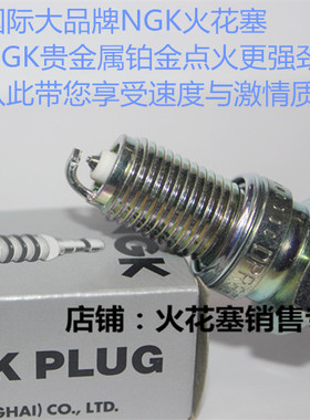 铃木DR800 VS800 VX800 GR650 GS650 LS650摩托适用NGK铂金火花塞