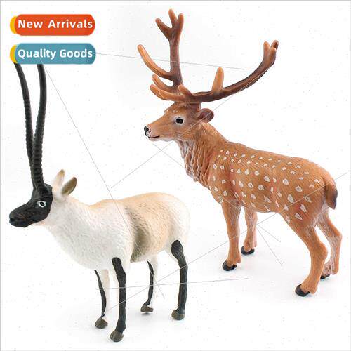 Wild est animals model children science education cognive Ti
