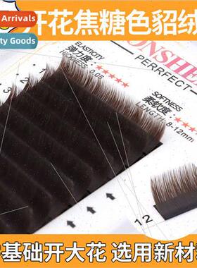 New 0.05 Brown Mink Flowering Eyelash Extensions False Eyela