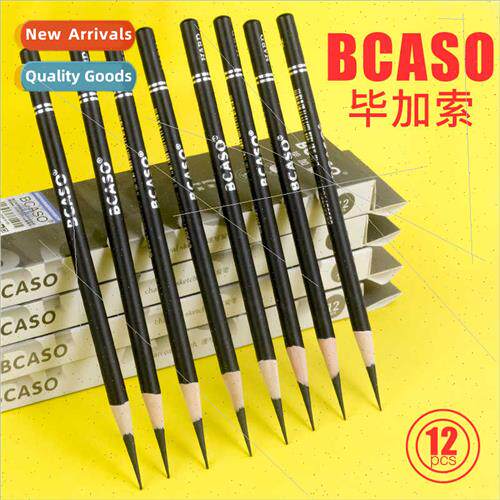 Picasso charcoal pencil art students special soft drawing ch