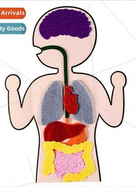 Human viscera teaching aids creative children -woven fabric