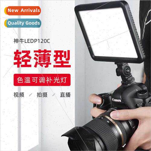 LED fill light P120C outside shooting video news movie weddi