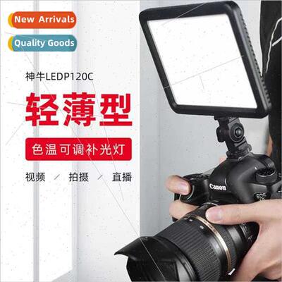 LED fill light P120C outside shooting video news movie weddi