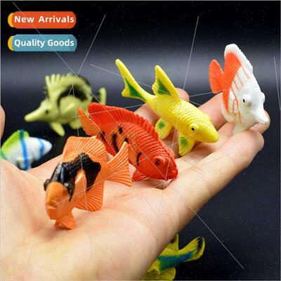 12 large colorful tropical marine fish ornamental fish model