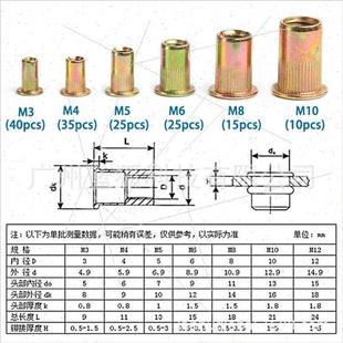 Rivet Nut Head Screws Vertical Flat 150pcs Box Home