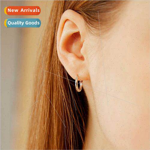 stainless steel Earring Hoop Earrings Gold Plated Earrings E