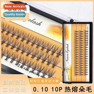 0.10 10P Hot Melt Extensions Duo Hair Scarecrow False Eyelas