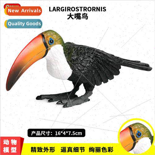 Animal solid wild birds animal world toucan toucan parrot ch