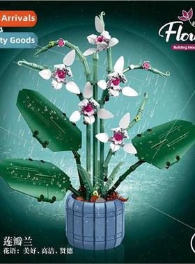 assembled puzzle small particles bell orchids Peach spring p