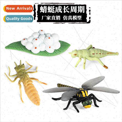 toys simulation animal growth cycle insect model dragonfly b