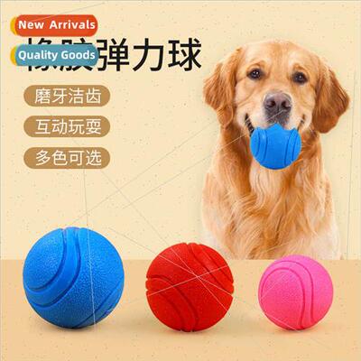 New Pet Toys Rubber Patterned Solid Bouncy Ball Pet Toy Ball