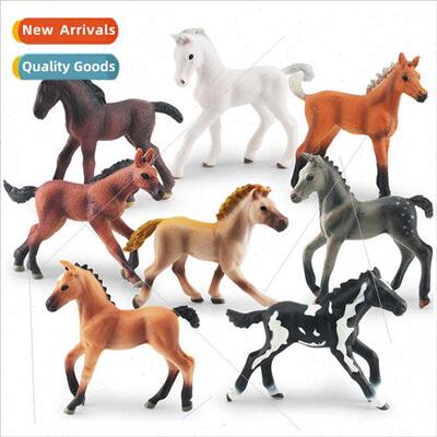 Foal Animal Model Belgian Horse Walker Horse Thoroughbred Ho
