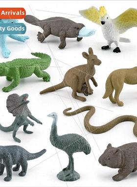 Platypus koala kangaroo ostrich wombat Australia animal mode