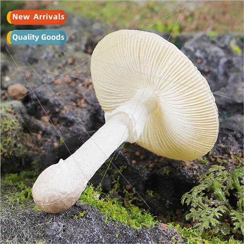 Montessori teaching aids whe poison gooseberry mushroom vege