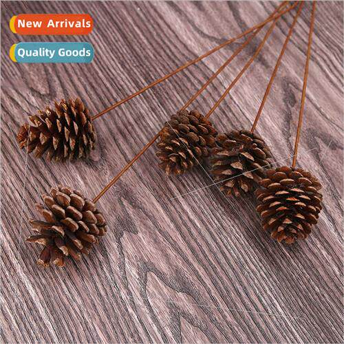 Dried bouquet pine cones decoration diy natural dried flower
