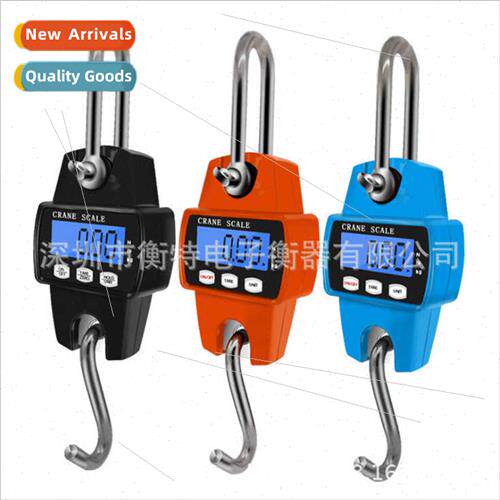 Industrial Scale 300kg Electronic Crane Scale Portable Hook