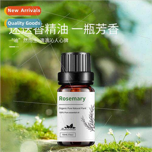 Rosemary ngle Essential Oil Aromatherapy Skin Care Moisturiz