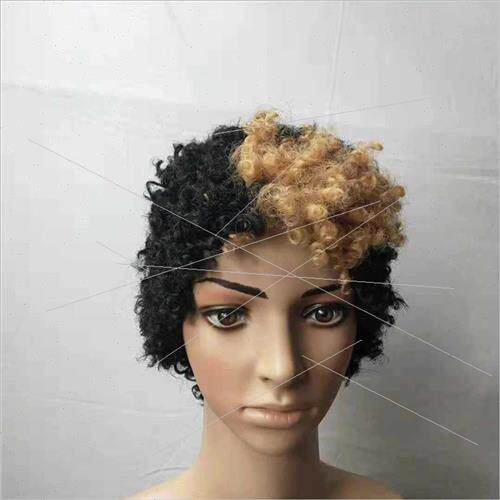 african wighair Europe wig female short hair small curly exp