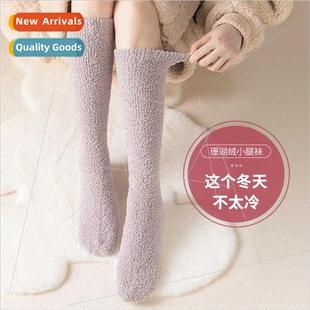 long knee warm velvet padded socks thickened Coral winter