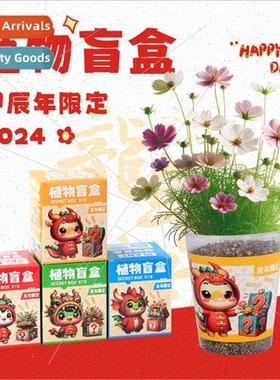 Year Dragon limed children planting plants blind box small p