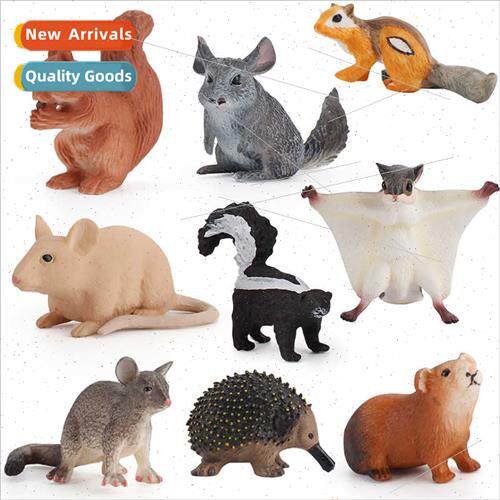 Wild rodent animal model children science education chinchil