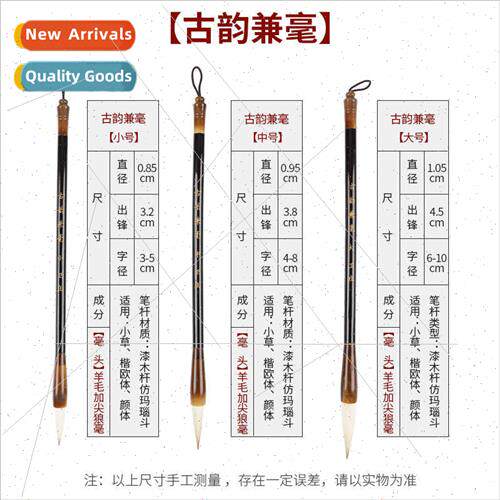 Students practicing wh part-hair brushes set large regular s