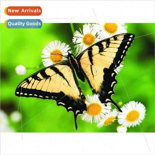 room handmade stch modern dec cross living diamond New stick