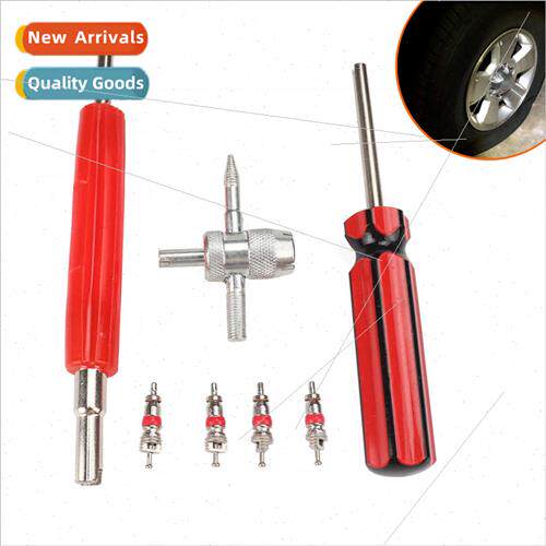 Set four in one+single double head disassembly tool+valve co