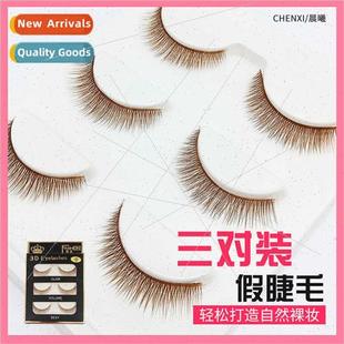3D False Eyelashes 3D19 Eyelashes in Pairs Long Brown Eyelas