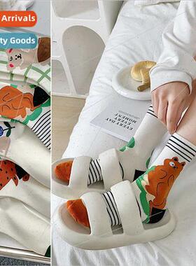 Socks female spring summer new cotton socks Japanese stockin