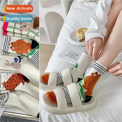 Socks female spring summer new cotton socks Japanese stockin