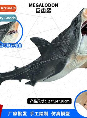 Prehistoric model chalk spiny armor shark large megalodon sh
