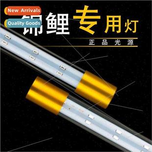 pink dou parrot lights LED special luohan koi fish Dragon