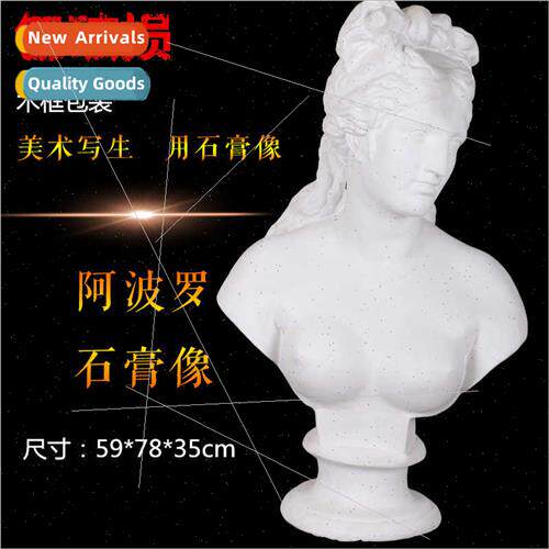 Brandt Sun God Apollo Plaster Plaster Teaching Aids Plaster