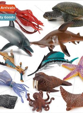 science education cognive furnishings deep sea squid starfis