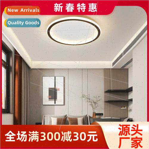 Minimalist living room lamp copper ceiling lamp simple moder