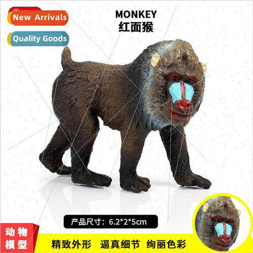 World baboon orangutan model red-faced monkey children toys