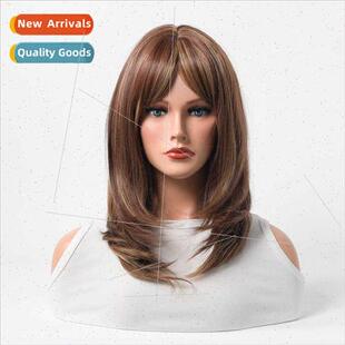 Europe Intellectual Wig Women Hair Brown Gradient Optional E