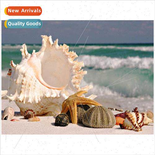 New conch landscape full diamond painting creative handmade