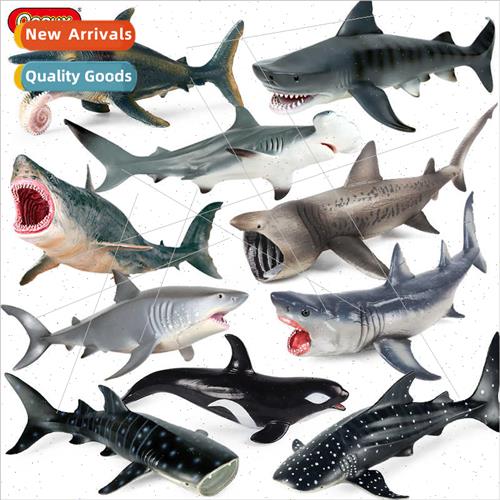 great whe shark shark megalodon basking shark tiger shark bl