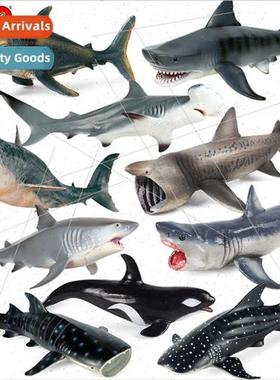 great whe shark shark megalodon basking shark tiger shark bl
