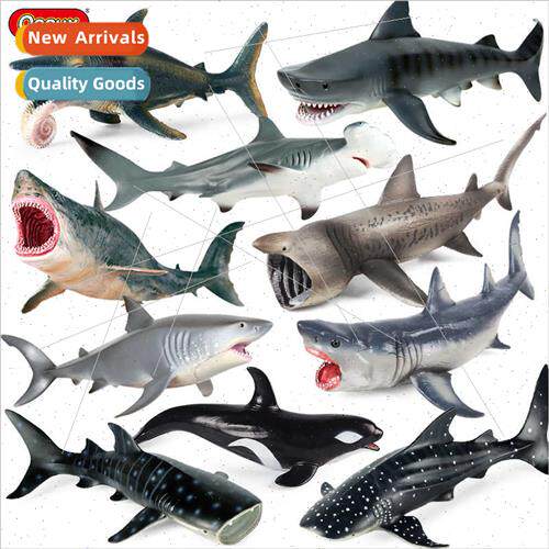 great whe shark shark megalodon basking shark tiger shark bl