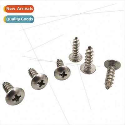316 Large flat head tapping screws cross mushroom head umbre