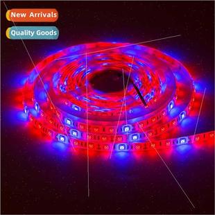 Plant Waterpro5050 Grow ght Remedial 12V Strip LED