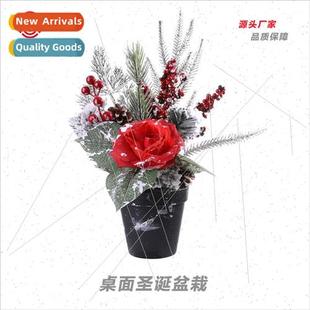 Big Saffron Desktop Mini Christmas Pot Plants Christmas Deco