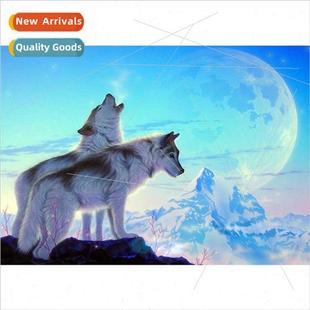 full diamond decoration hand home applied room New living